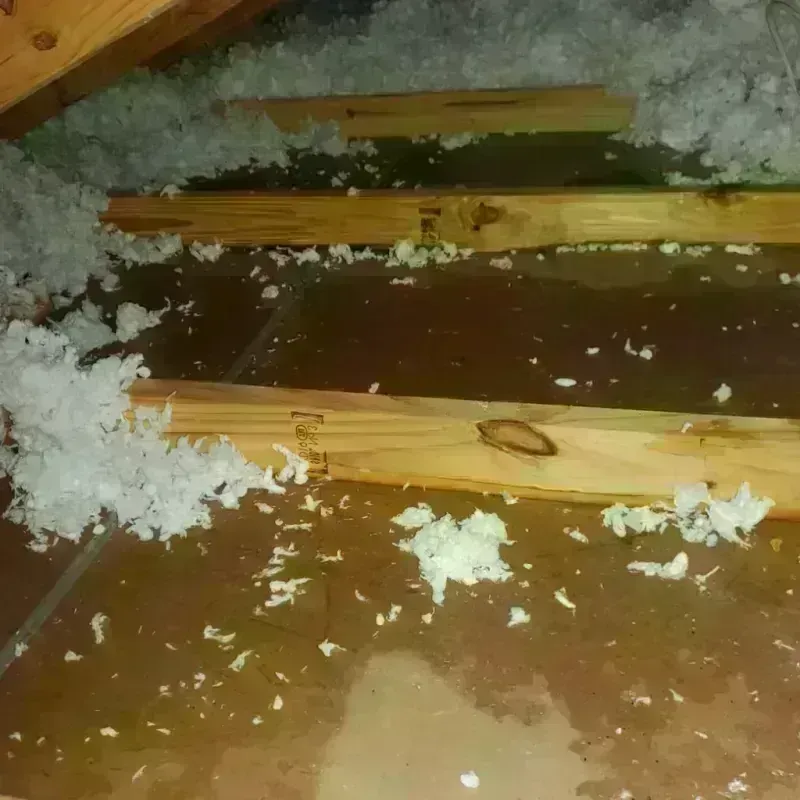 Attic Water Damage in Fife Heights, WA